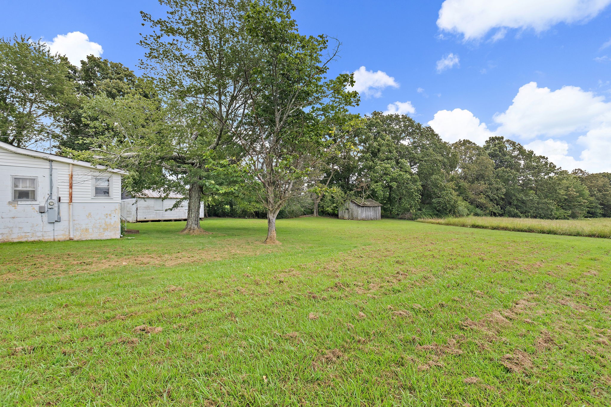 921 Yellow Creek Road Dickson, TN 37055 - Photo 10 of 32