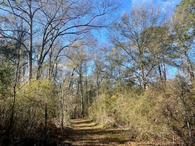 Morgantown Road McComb, MS 39648 - Photo 3 of 9 Photo 3