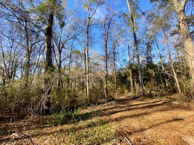 $99,500 | Morgantown Road, McComb, MS 39648