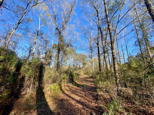 Morgantown Road McComb, MS 39648 - Photo 5 of 9 Photo 5