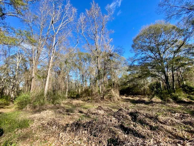 $99,500 | Morgantown Road, McComb, MS 39648