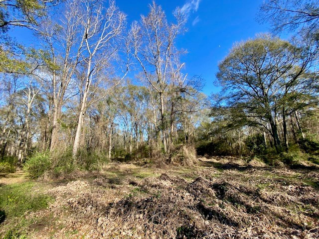 Morgantown Road McComb, MS 39648 - Photo 6 of 9 Photo 6