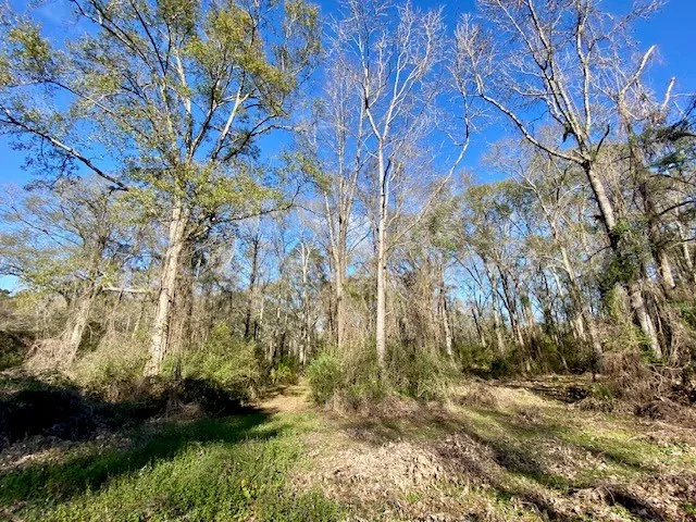 $99,500 | Morgantown Road, McComb, MS 39648