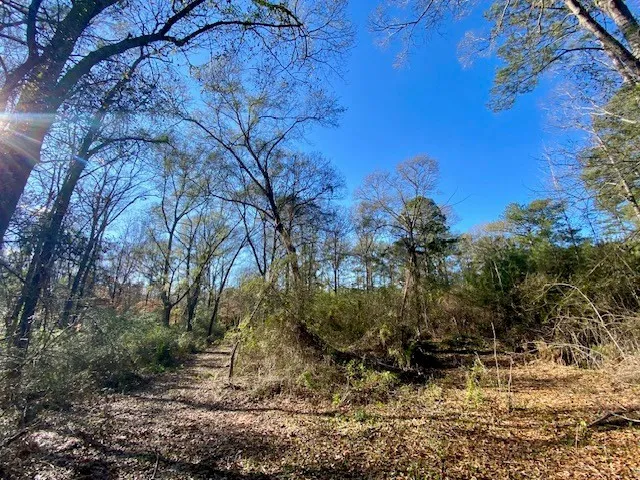 $99,500 | Morgantown Road, McComb, MS 39648