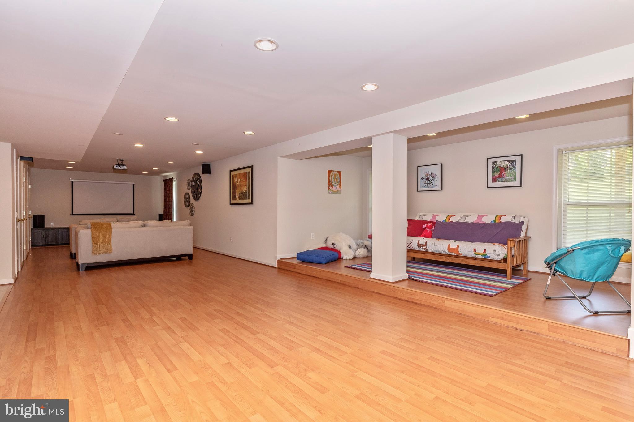 18510 Cornflower Road Boyds, MD 20841 - Photo 76 of 100 Theatre area