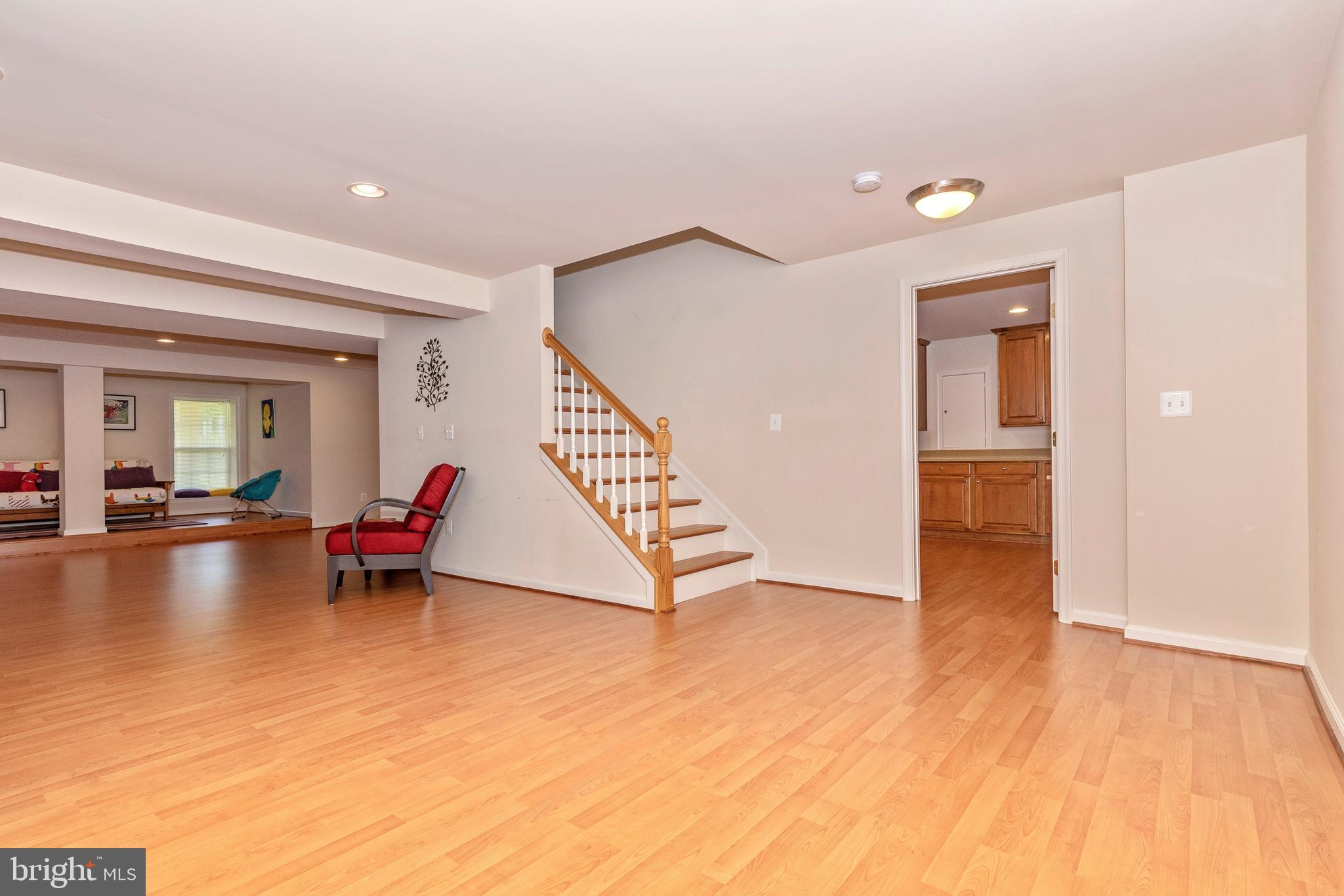 18510 Cornflower Road Boyds, MD 20841 - Photo 90 of 100 Spacious lower level