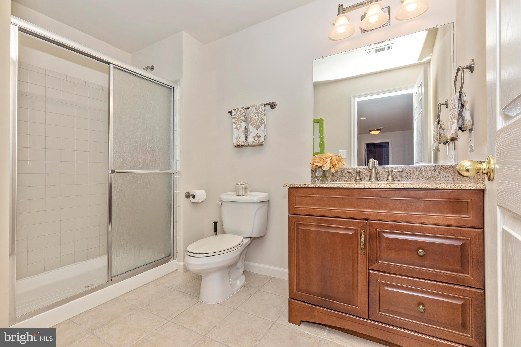 18510 Cornflower Road Boyds, MD 20841 - Photo 91 of 100 Lower level bathroom