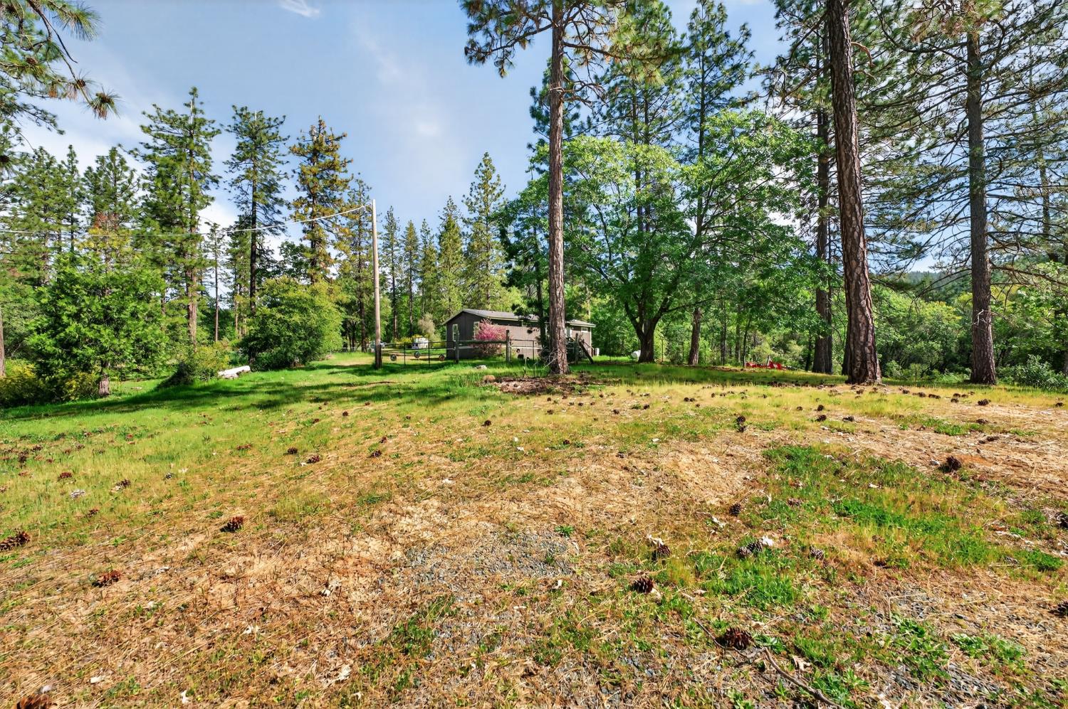 14319 Oregon Peak Road Dobbins, CA 95935 - Photo 31 of 41