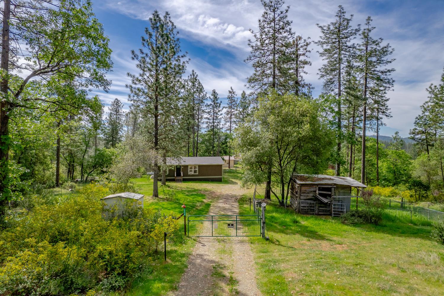 14319 Oregon Peak Road Dobbins, CA 95935 - Photo 40 of 41