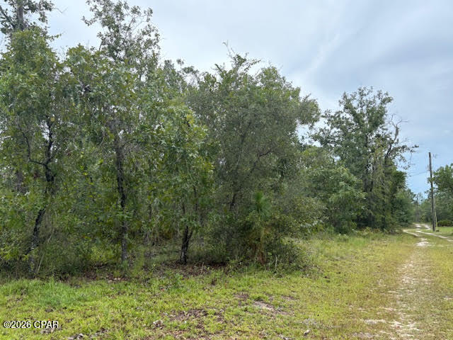 4539 Northwest White Road Altha, FL 32421 - Photo 50 of 82