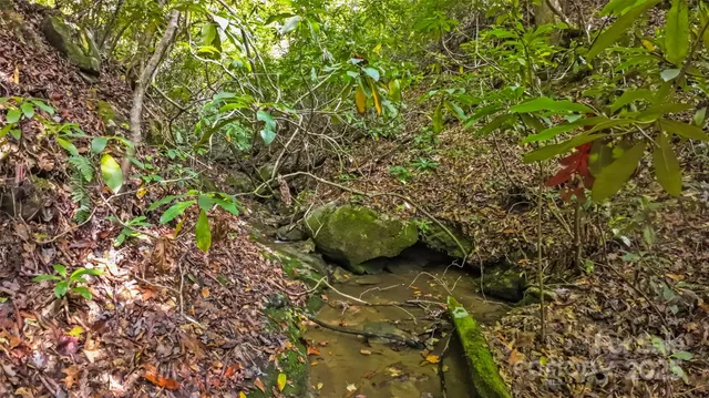 $270,000 | 99999 Chastain Road, Scaly Mountain, NC 28775