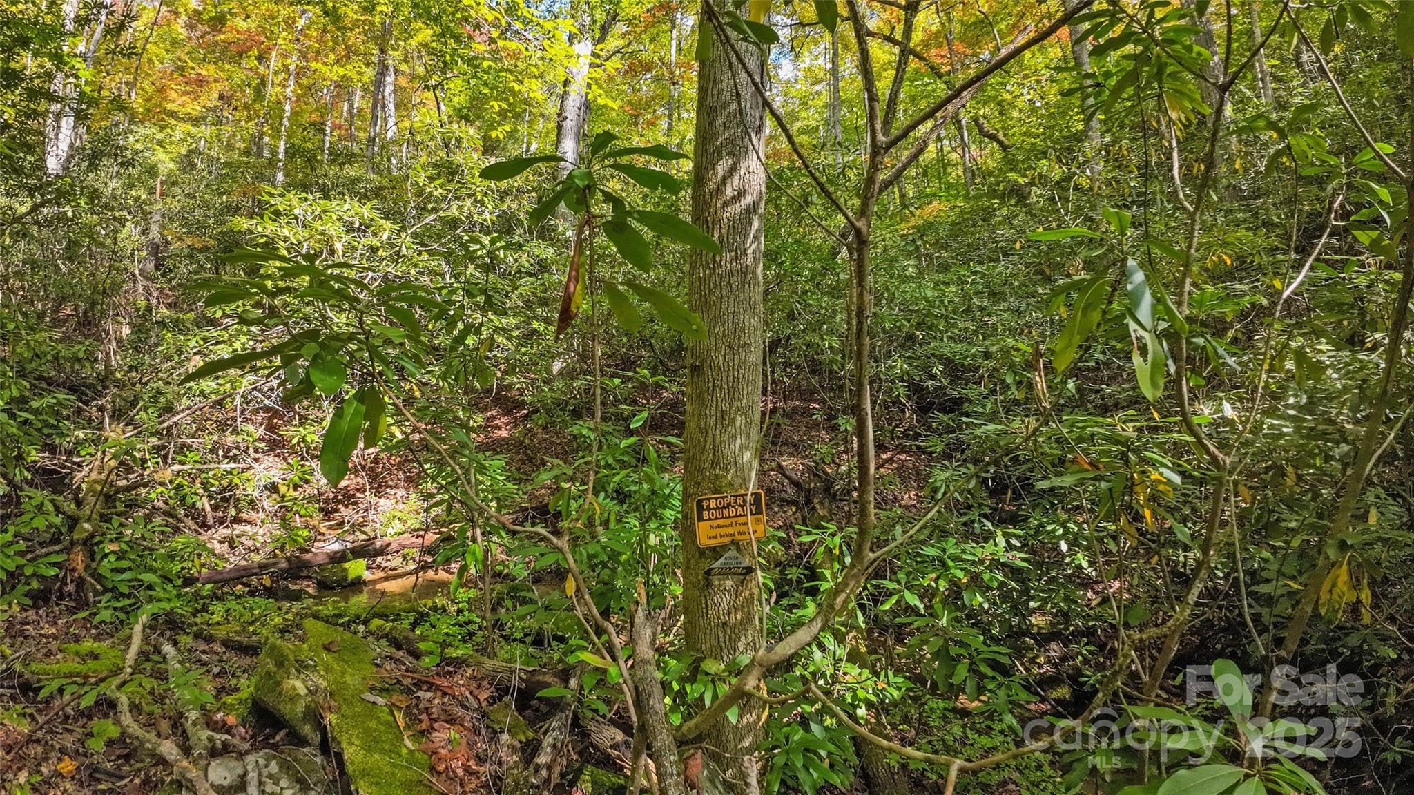 99999 Chastain Road Scaly Mountain, NC 28775 - Photo 17 of 30