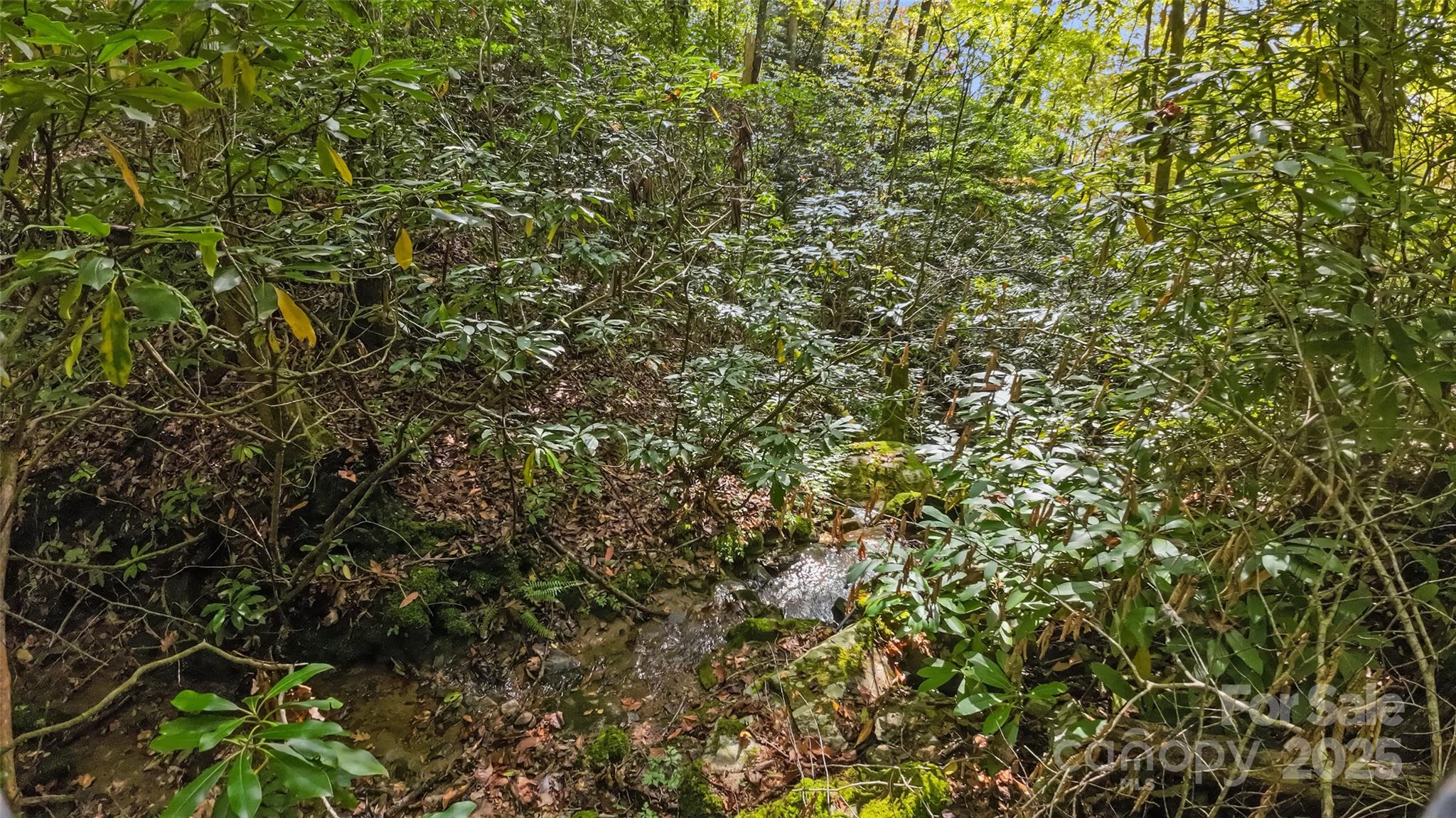 99999 Chastain Road Scaly Mountain, NC 28775 - Photo 18 of 30