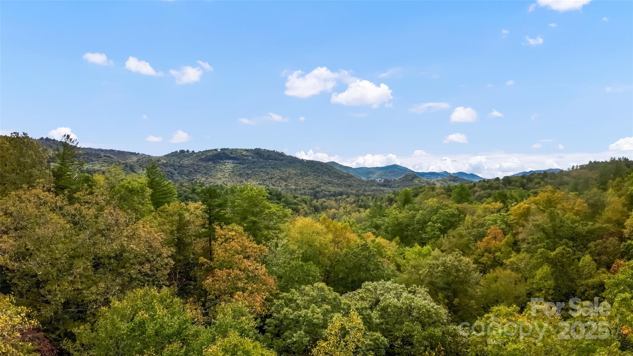 99999 Chastain Road Scaly Mountain, NC 28775 - Photo 22 of 30 a view of a city