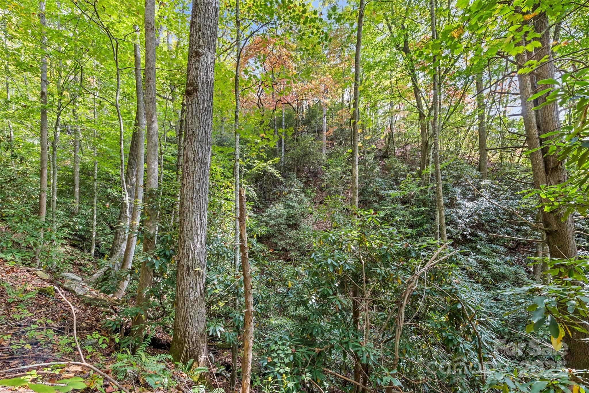 99999 Chastain Road Scaly Mountain, NC 28775 - Photo 27 of 30 a view of a garden