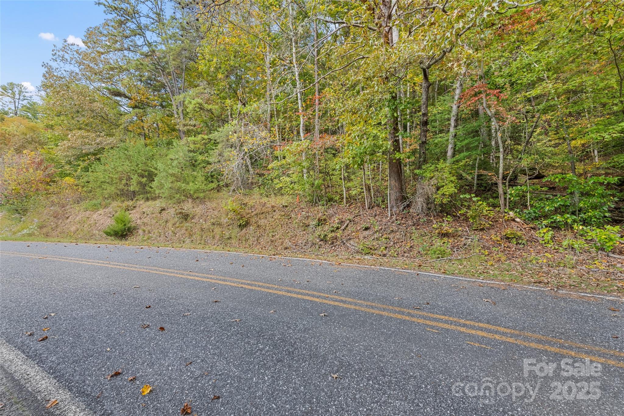 99999 Chastain Road Scaly Mountain, NC 28775 - Photo 29 of 30 a view of a yard with a trees