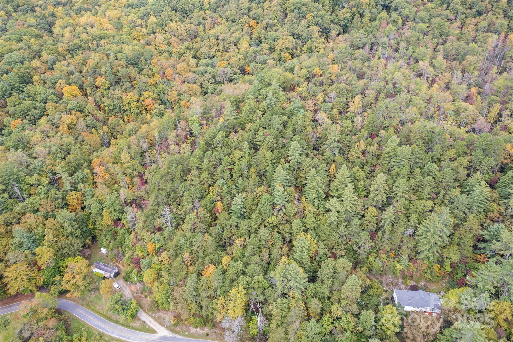 99999 Chastain Road Scaly Mountain, NC 28775 - Photo 3 of 30