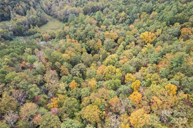 $270,000 | 99999 Chastain Road, Scaly Mountain, NC 28775