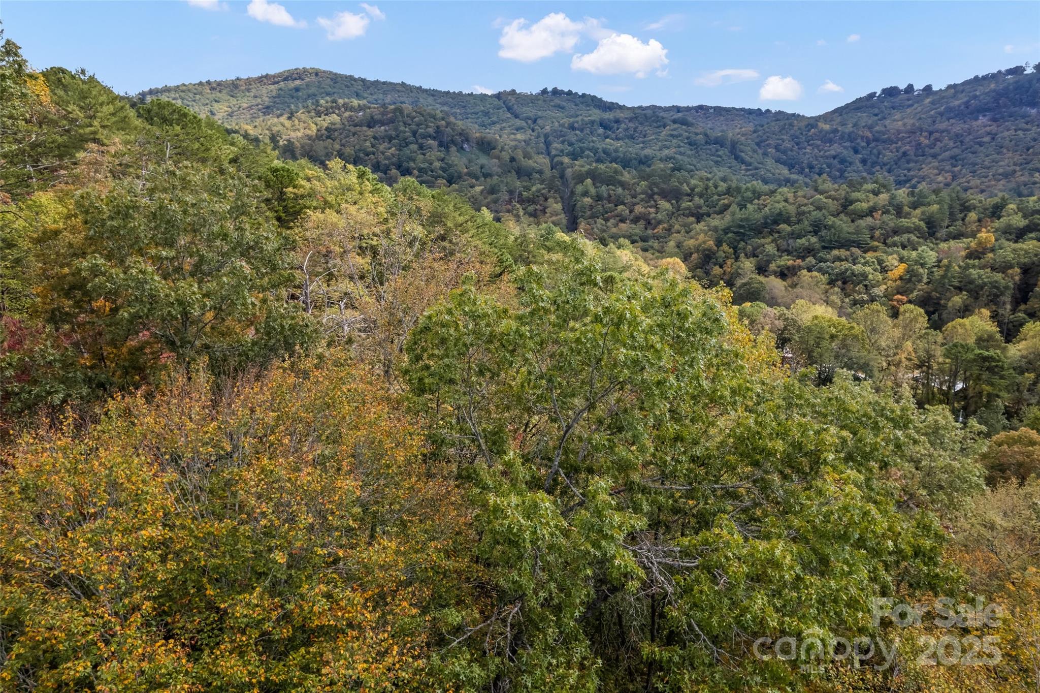 99999 Chastain Road Scaly Mountain, NC 28775 - Photo 6 of 30 a view of a lush green hillside and a building