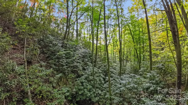 $270,000 | 99999 Chastain Road, Scaly Mountain, NC 28775