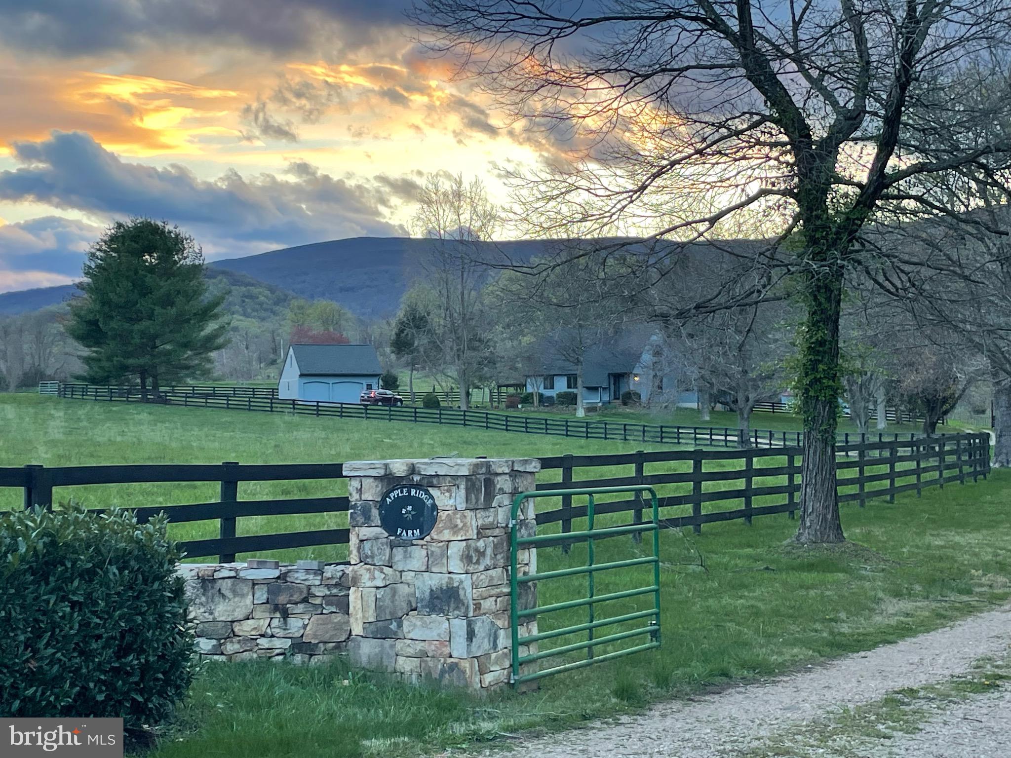 a view of outdoor space with deck and yard