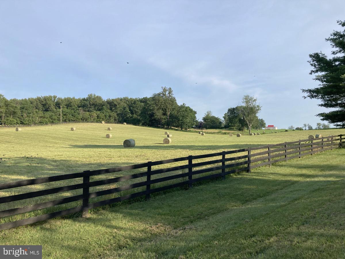 521 Dearing Road Huntly, VA 22640 - Photo 28 of 40