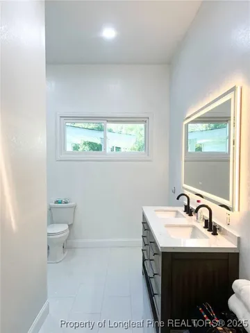 a bathroom with a sink and a toilet