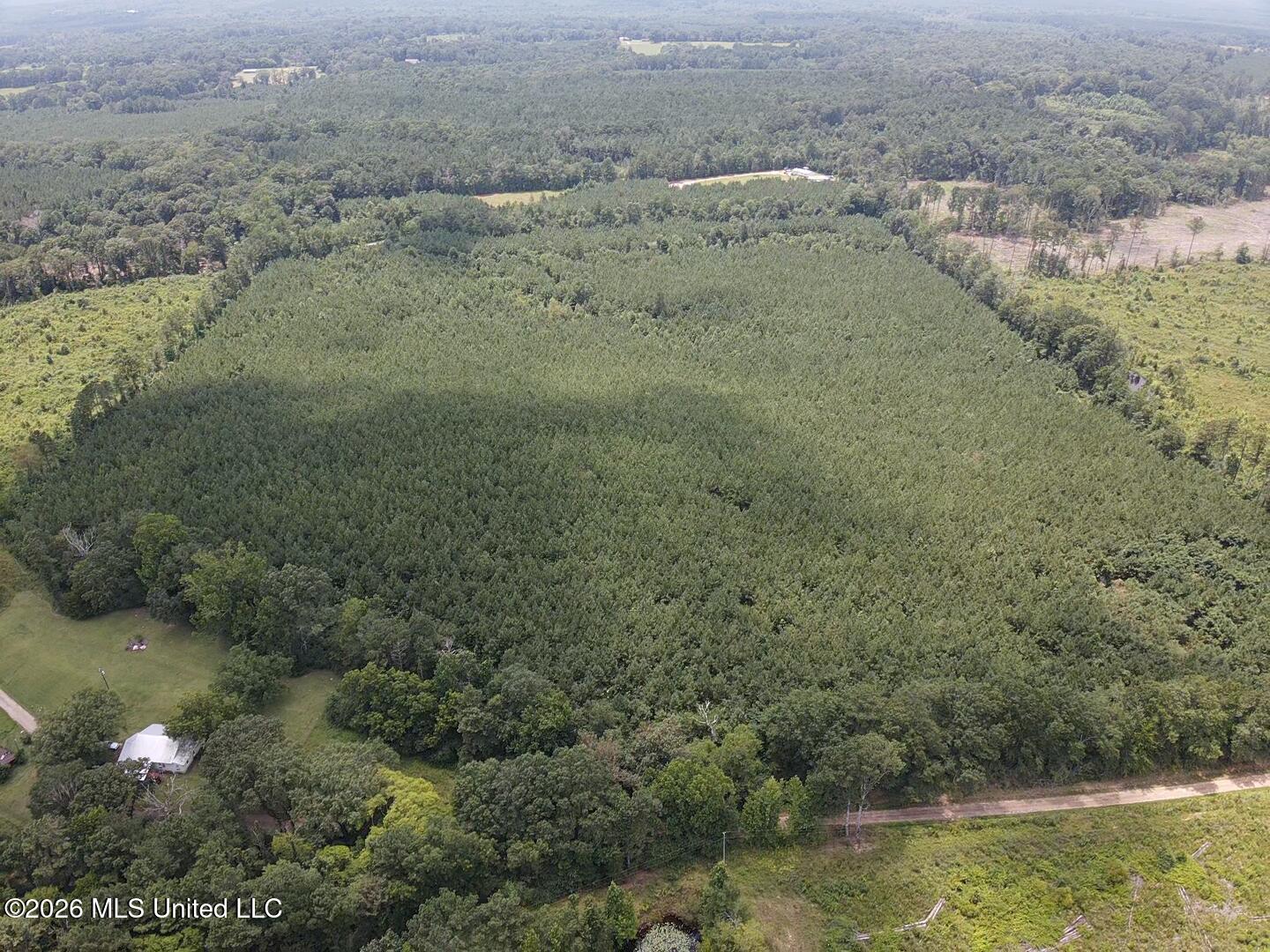 131 B County Road Morton, MS 39117 - Photo 1 of 25 2026-07-05-13-43-51-643