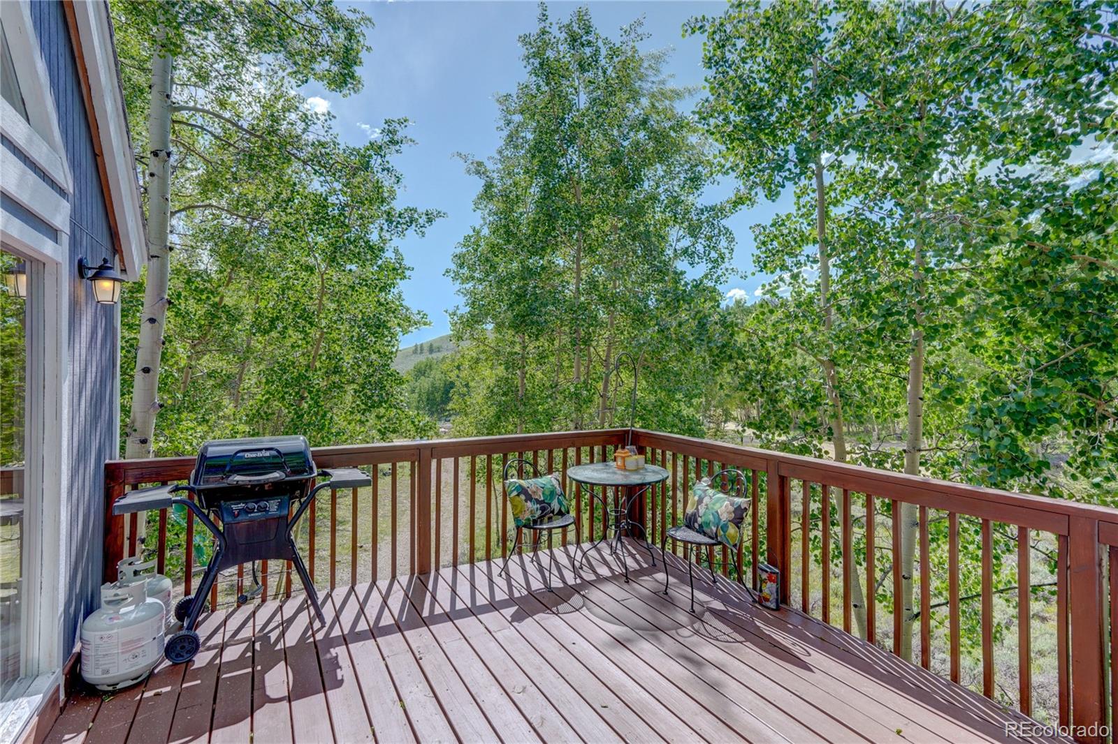 12 Cottontail Road Leadville, CO 80461 - Photo 21 of 30 Gallery Image 21