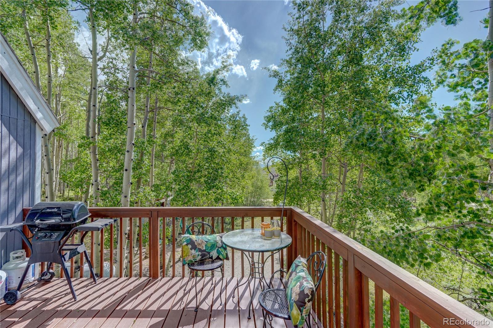 12 Cottontail Road Leadville, CO 80461 - Photo 23 of 30 Gallery Image 23