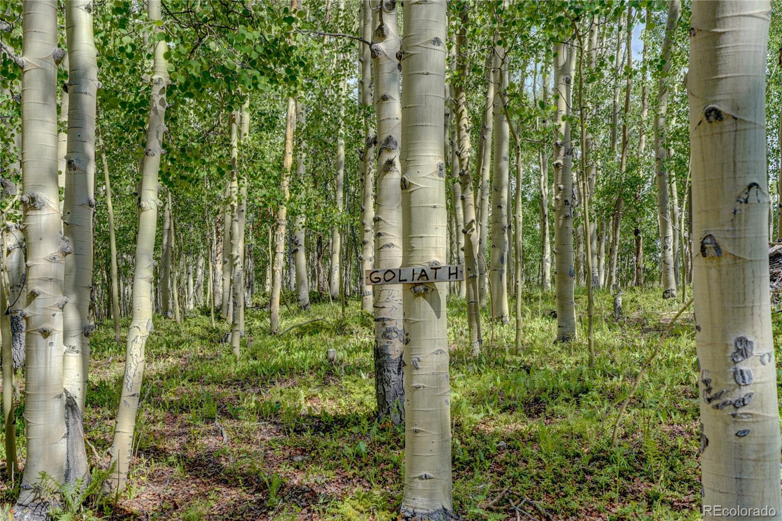 12 Cottontail Road Leadville, CO 80461 - Photo 27 of 30 Gallery Image 27