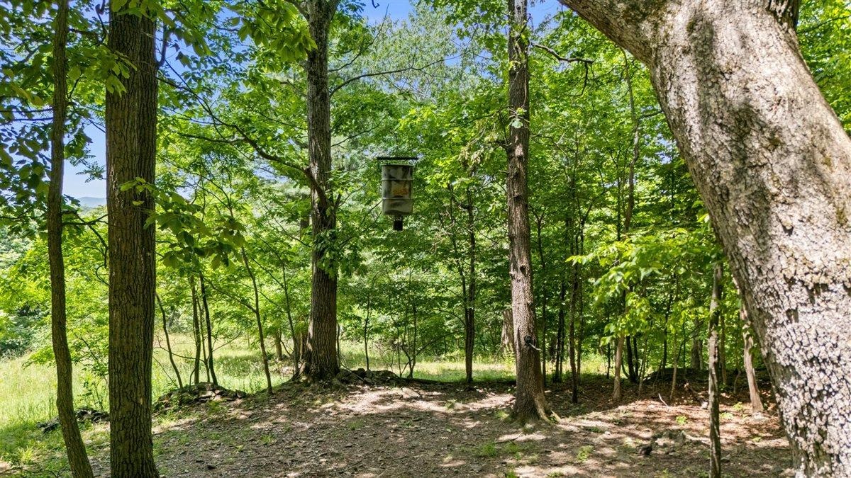 Lot 19-20 Hidden Hill Road Stanley, VA 22851 - Photo 16 of 20