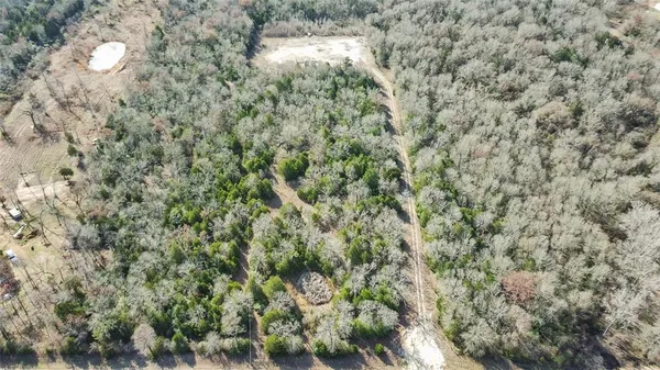 a view of a dry yard with green space
