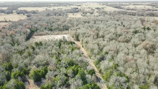 a view of a dry yard with wooden fence