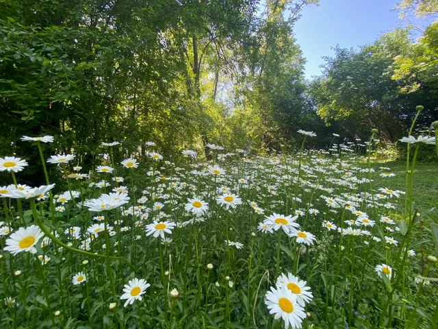 $725,000 | 3891 Birch Trail, Cross Plains, WI 53528