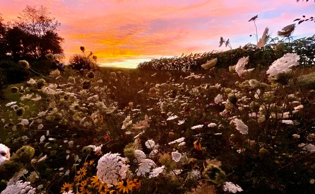 $725,000 | 3891 Birch Trail, Cross Plains, WI 53528