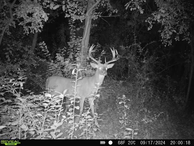 $725,000 | 3891 Birch Trail, Cross Plains, WI 53528