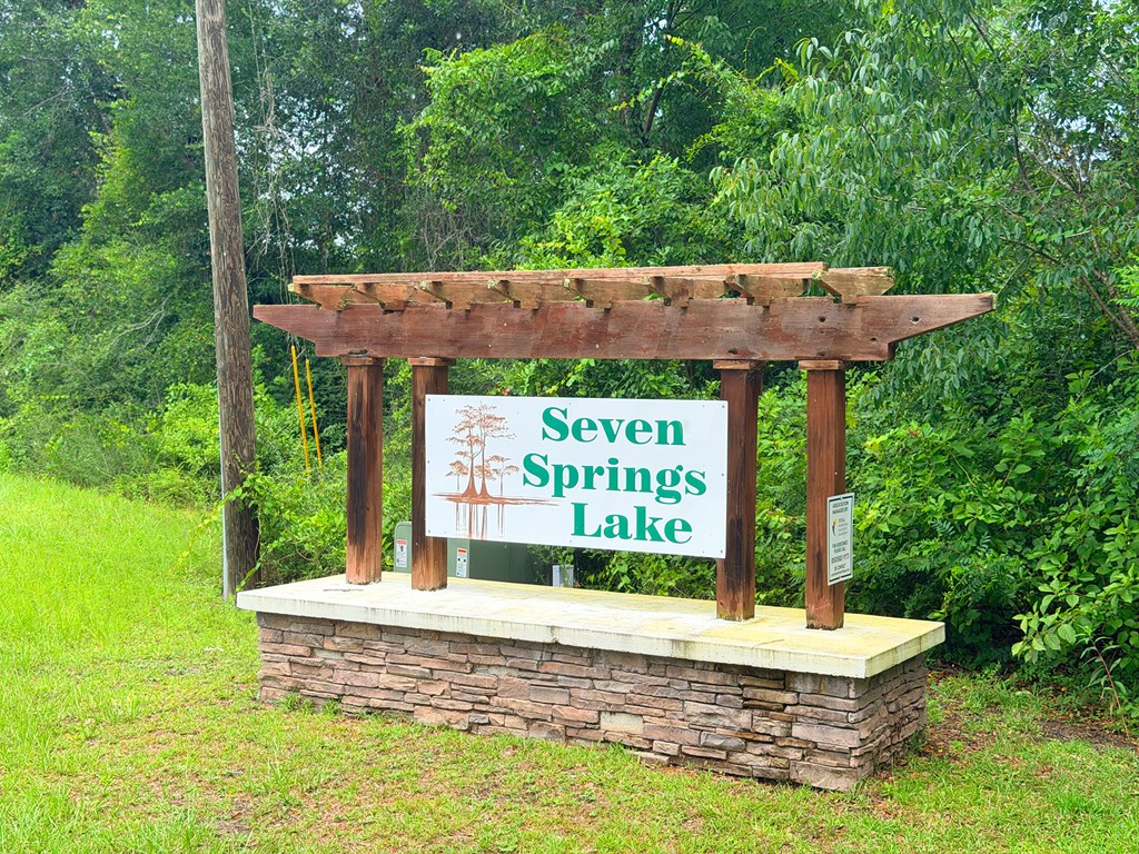 229 Seven Spgs Road Wewahitchka, FL 32465 - Photo 3 of 13