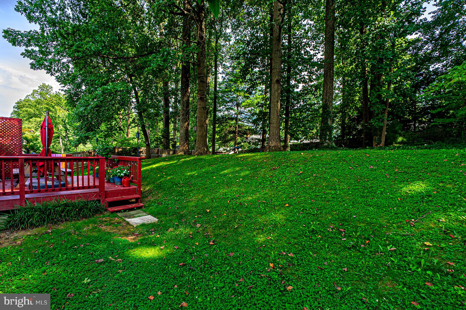 8207 Old Oaks Drive Springfield, VA 22152 - Photo 16 of 19 a sign that is sitting in the grass