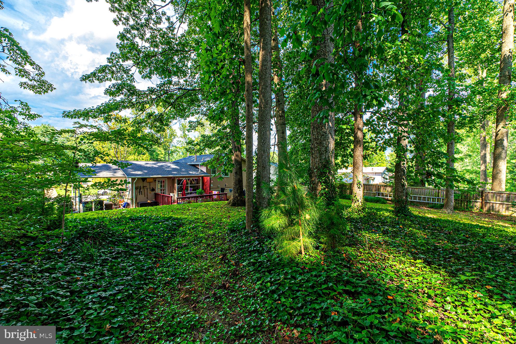 8207 Old Oaks Drive Springfield, VA 22152 - Photo 18 of 19 a front view of a house with a yard