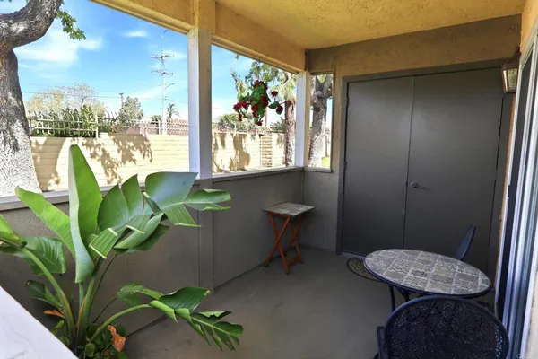 a room with a table and a potted plant