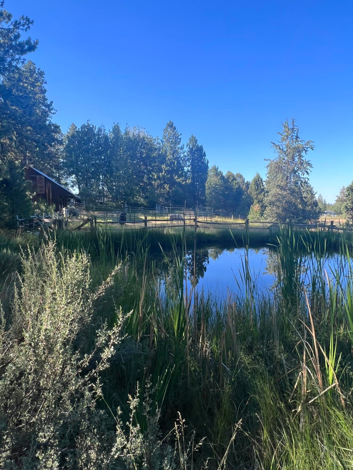 21365 Back Alley Road Bend, OR 97702 - Photo 12 of 31 IMG_2480