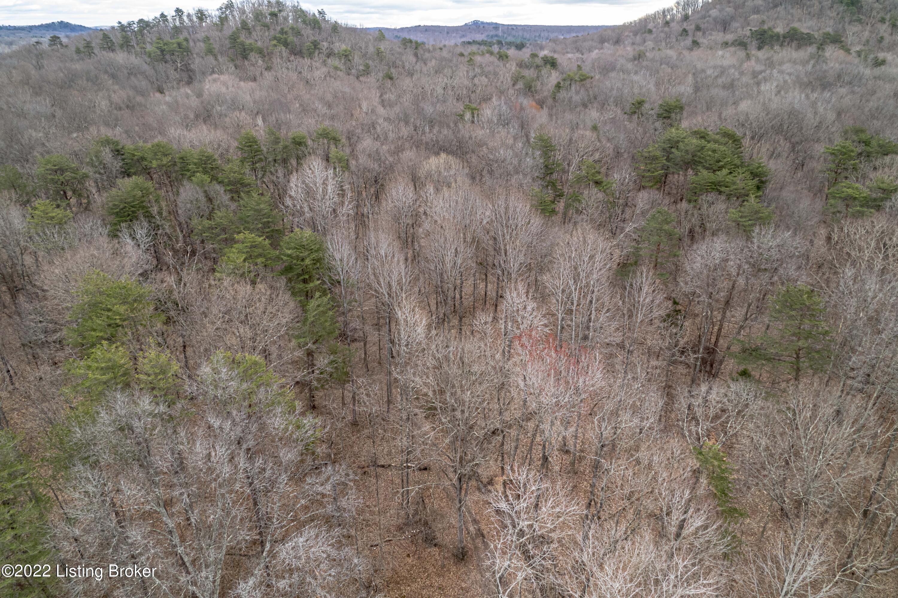 0 Collings Hill Road Lebanon Junction, KY 40150 - Photo 38 of 81 DJI_0740