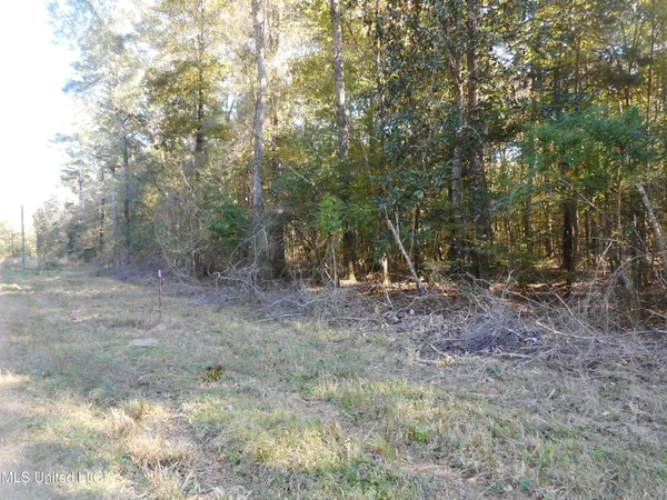 $119,500 | E-s Drive Braxton Ms 39044, Braxton, MS 39044