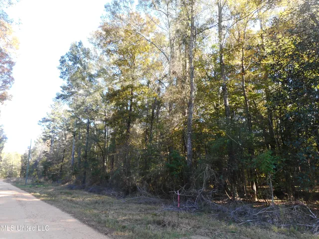 $130,000 | E-s Drive Braxton Ms 39044, Braxton, MS 39044