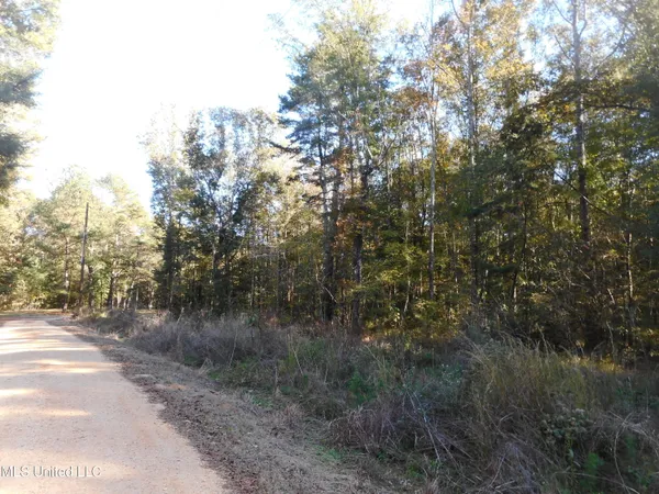 $119,500 | E-s Drive Braxton Ms 39044, Braxton, MS 39044