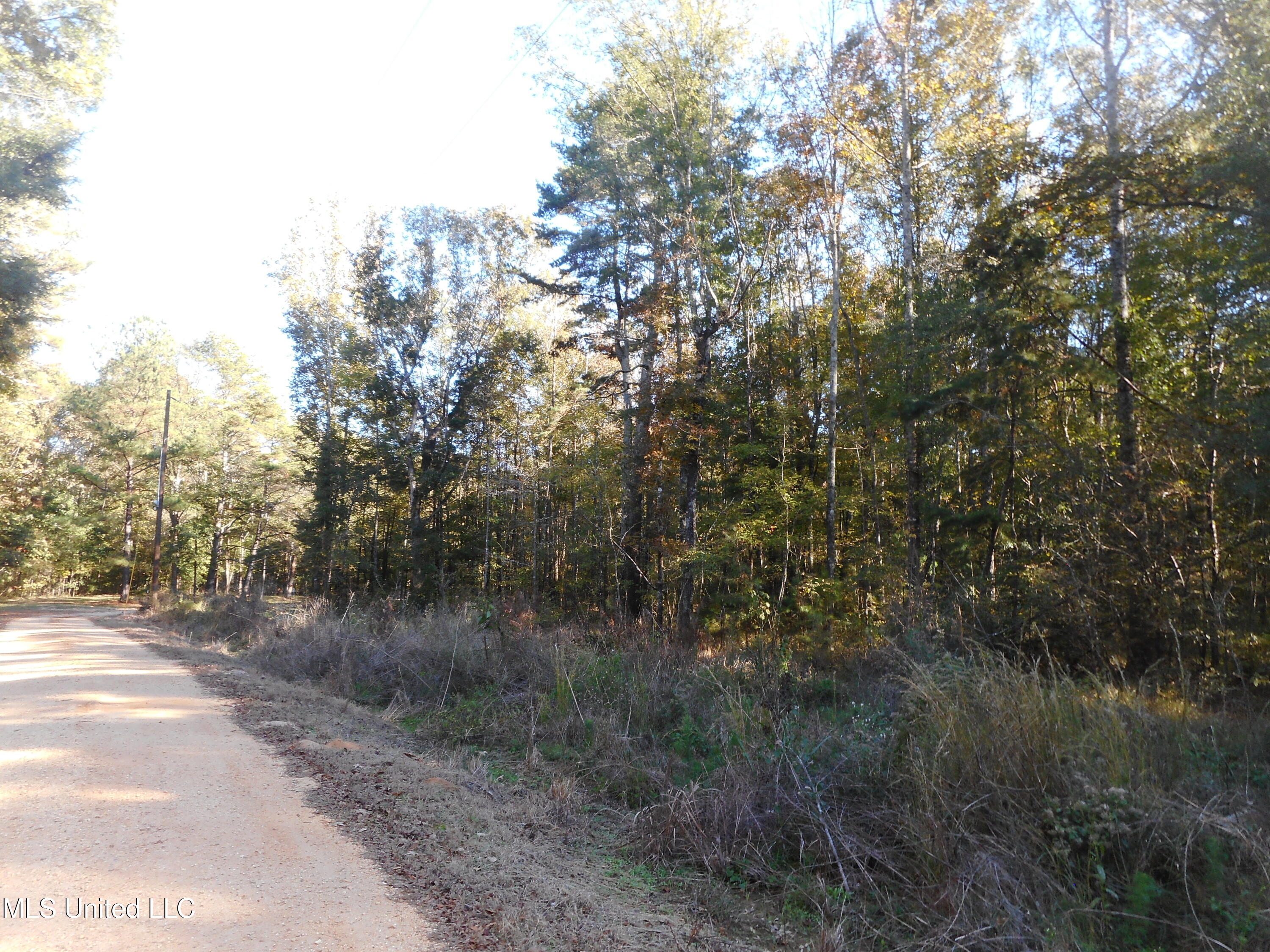 E-s Drive Braxton Ms 39044 Braxton, MS 39044 - Photo 13 of 22 DSCN1926