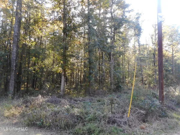 $119,500 | E-s Drive Braxton Ms 39044, Braxton, MS 39044