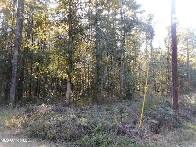 $130,000 | E-s Drive Braxton Ms 39044, Braxton, MS 39044