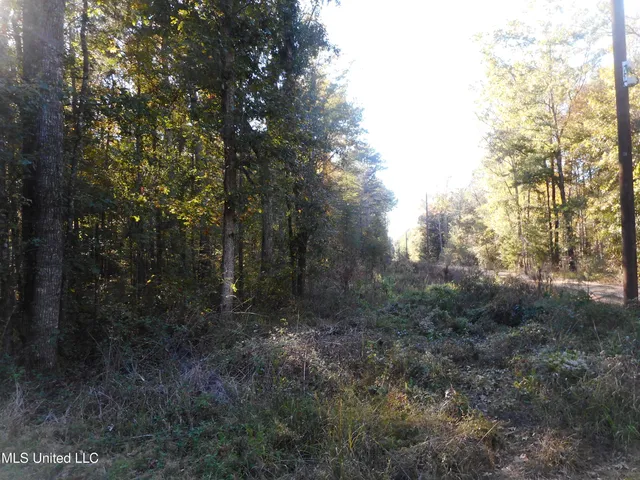 $130,000 | E-s Drive Braxton Ms 39044, Braxton, MS 39044